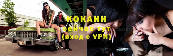 тгк Алексин