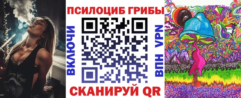 дарнет шоп  Павловская  Псилоцибиновые грибы GOLDEN TEACHER 