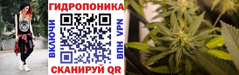 Каннабис VHQ Павловская